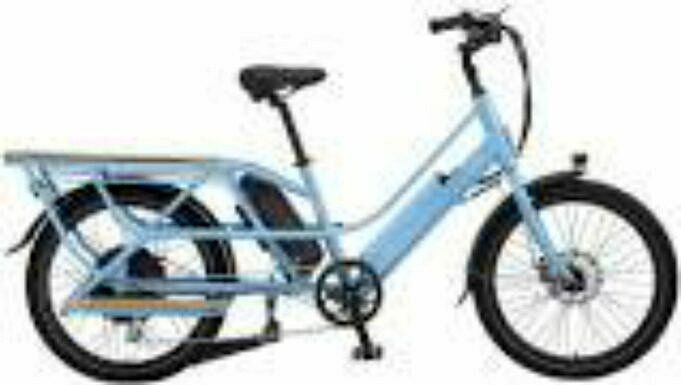 Recensioni Di Bici Elettriche Da Carico Xtracycle RFA Utility
